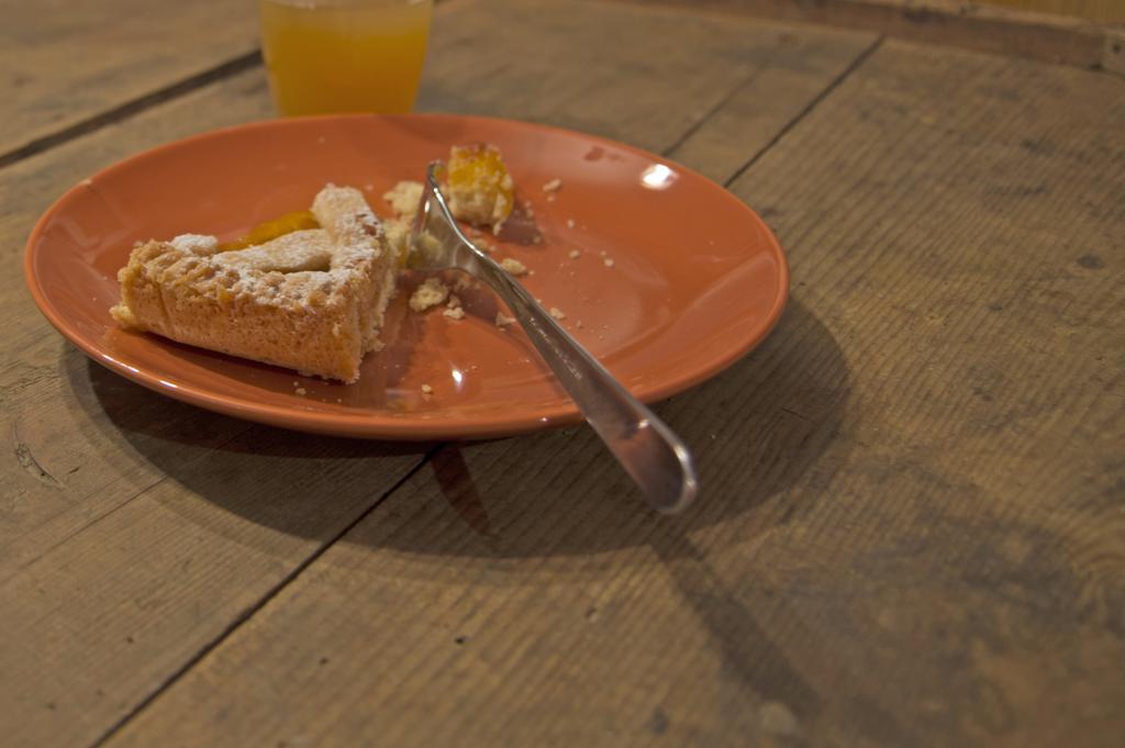Bed and Breakfast Le Castagne Matte Stenico Zewnętrze zdjęcie