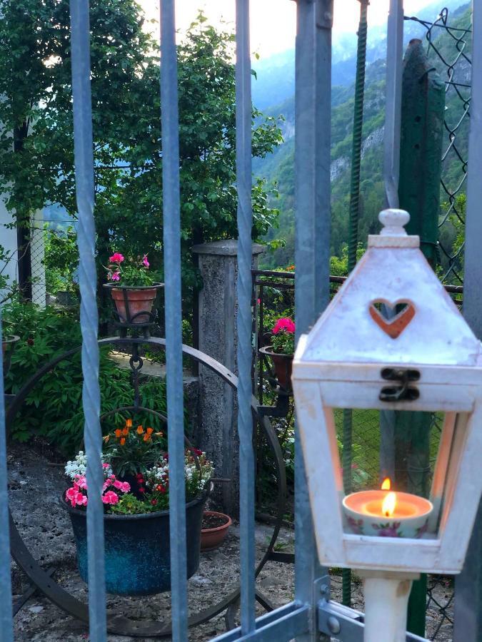Bed and Breakfast Le Castagne Matte Stenico Zewnętrze zdjęcie